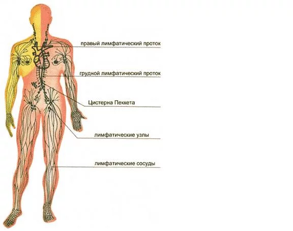 123.webp