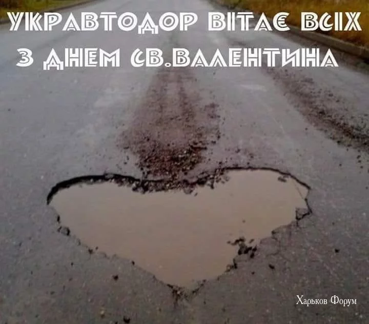 1231d2cebf93a1ab91f.webp