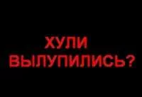1235097534_4802.webp