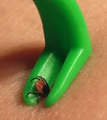 1235987765_tick_remover.webp