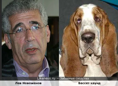 1238289231.webp