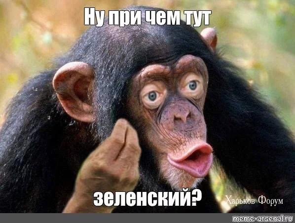 1238dfffa73d1e826565e43.webp