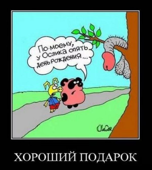 12402122043004973.webp