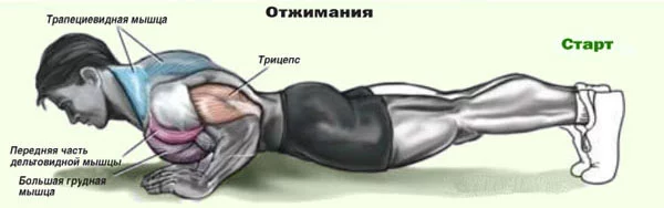 1240522269_otjimaniya_start.webp