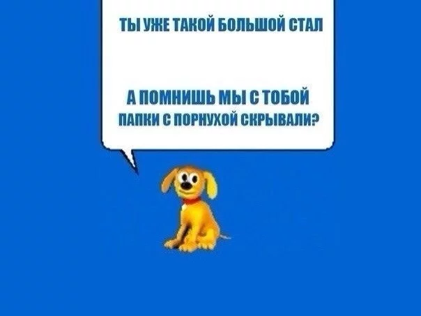 1241185_original.webp