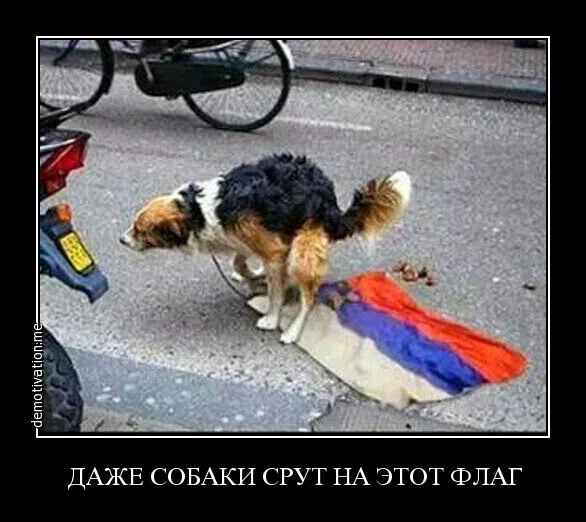 124189667_kruyssiya17.webp