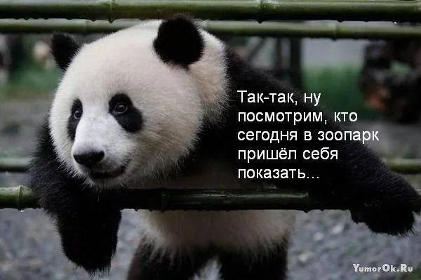 1242060546_s3img_13755849_780_1.webp