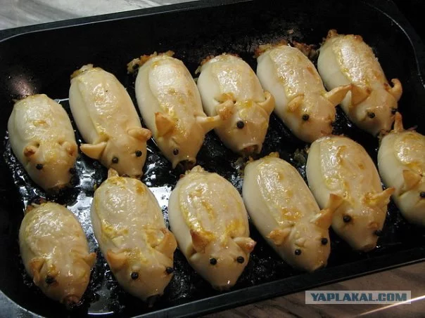 1242607.webp