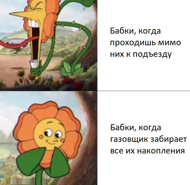 124307afd1b6fa27f617.webp