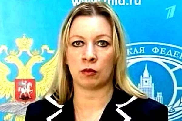 12513986.webp