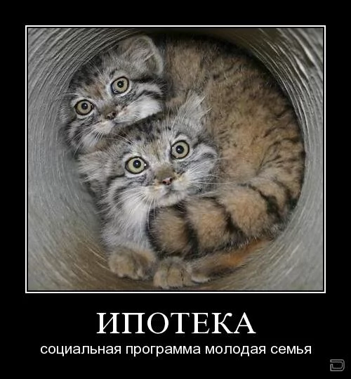 1255503387_2.webp