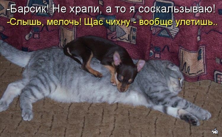 125552_original.jpg