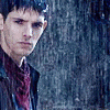 12563433.gif