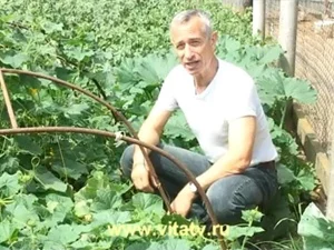 12584659.webp