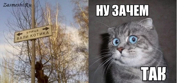1259-Vali-kotika.webp