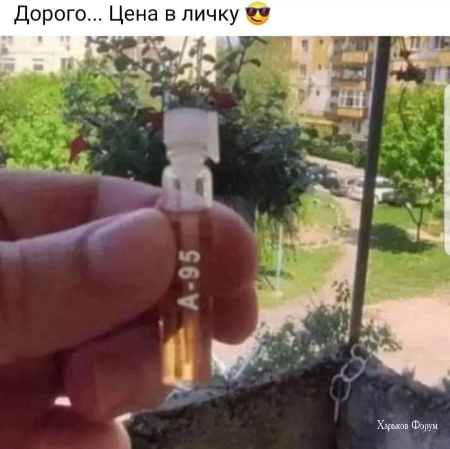 125df53d528ec0af7ad.webp