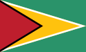 125px-Flag_of_Guyana.svg.png