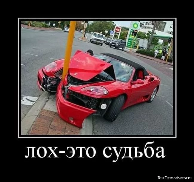 1260736240_demotivators_20.webp