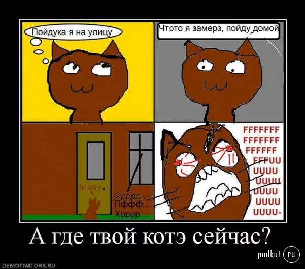 1262475157_805140_a-gde-tvoj-kote-sejchas.webp