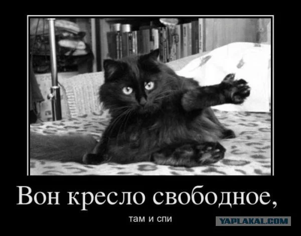 1262569.webp
