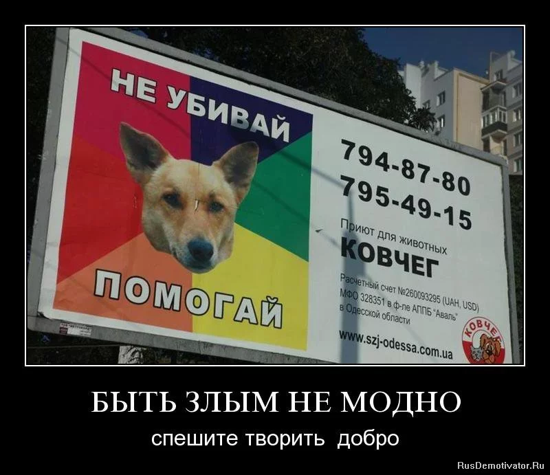 1263336127_3fvqyh3tb7h7.webp