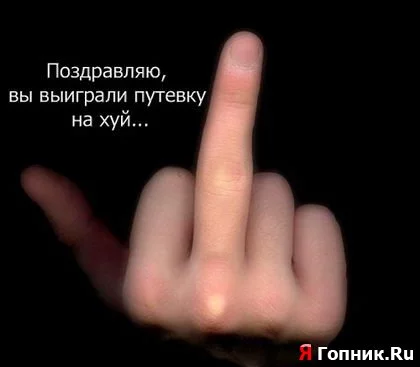 1264426418_176277_1212.webp