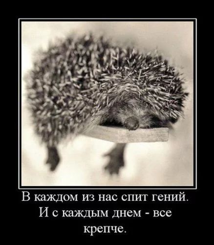 1266477369_121.webp