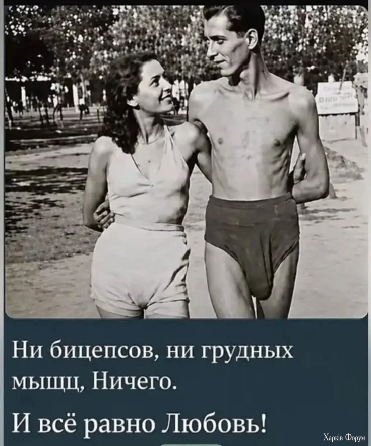 1271d9b94037c7fe2f68c6b7f77750b0.webp