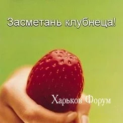 12746cf673b30e8caff00.webp