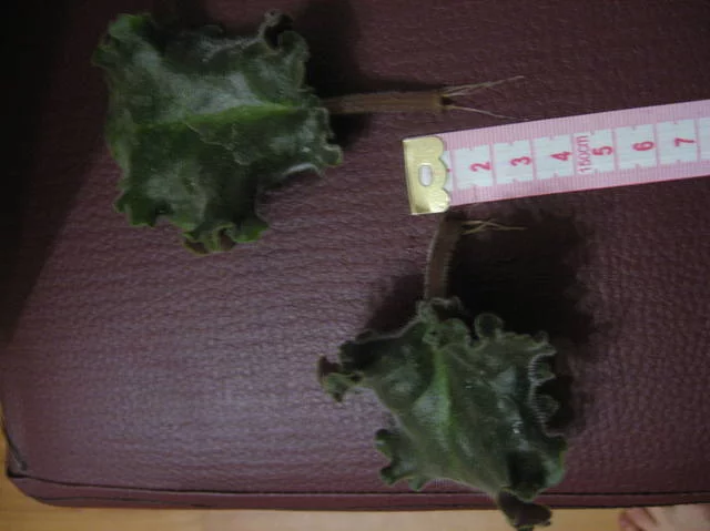 1278004_m.webp 1278004_m.webp