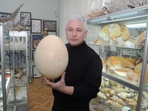 12793134.webp