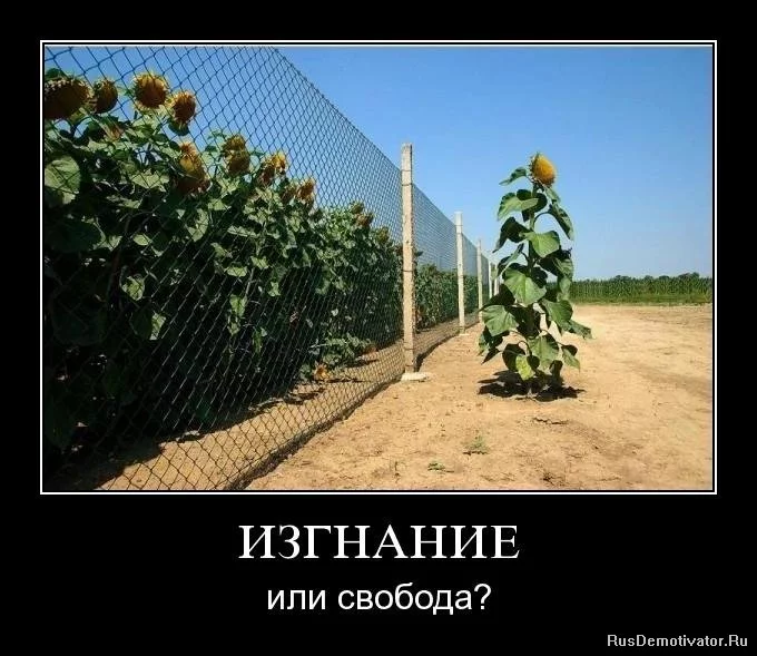 1279531392_n34p4pnve94z.webp