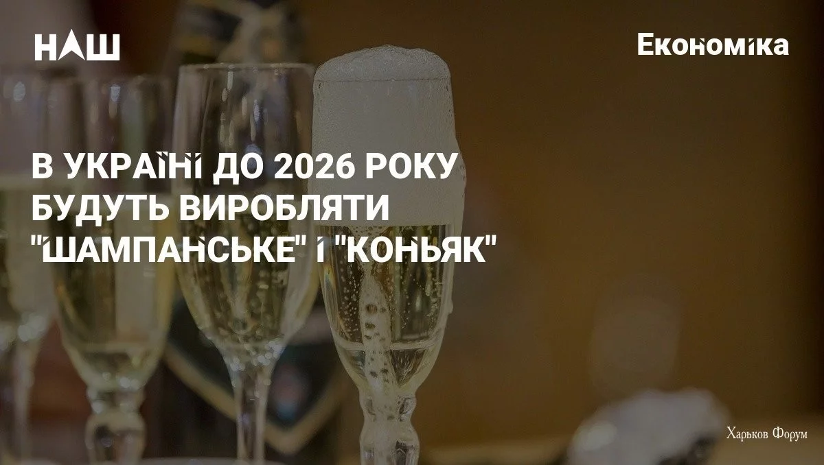 127d94d23224d124.webp