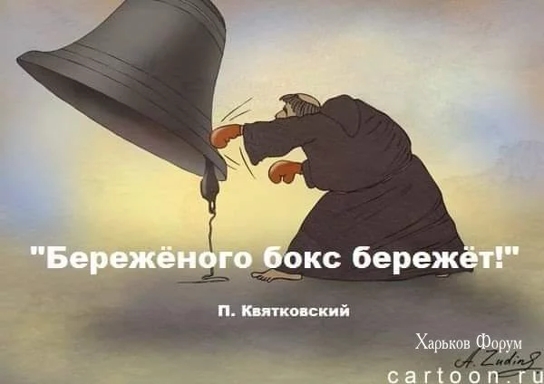 1281420f9eb235add42bcce5.webp