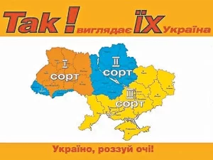 12818192.webp