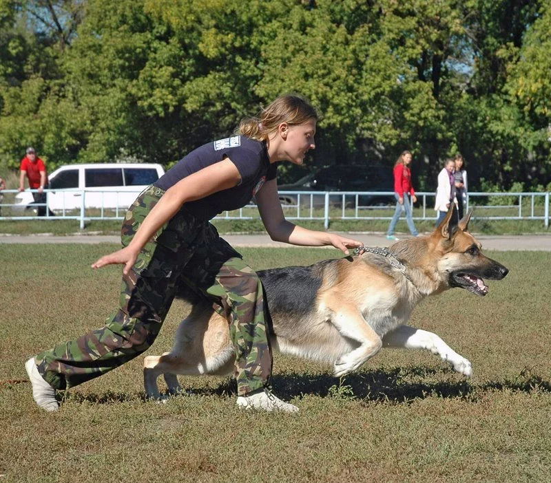 128200-f7a71-36459588-.webp