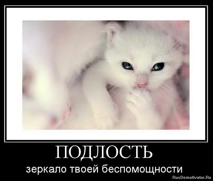 1284647005_63245460_051.webp