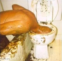 1284705397_head_in_toilet_small.webp