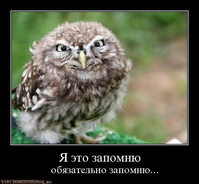 1284737813_3evjznpxdyf6.webp