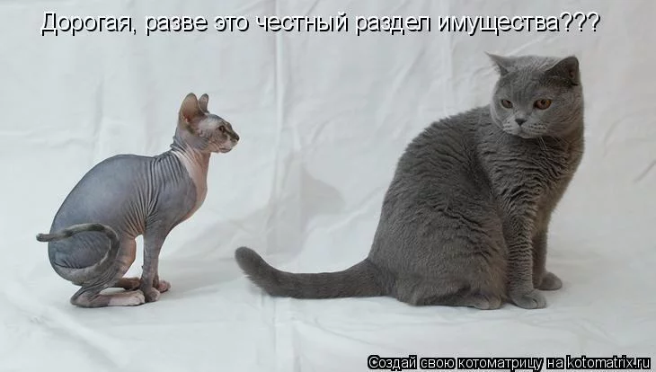 1286704107_699936.webp