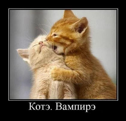 1288811943_17.webp