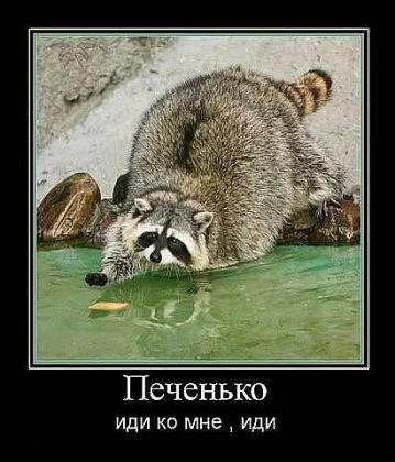 1288811981_22.webp