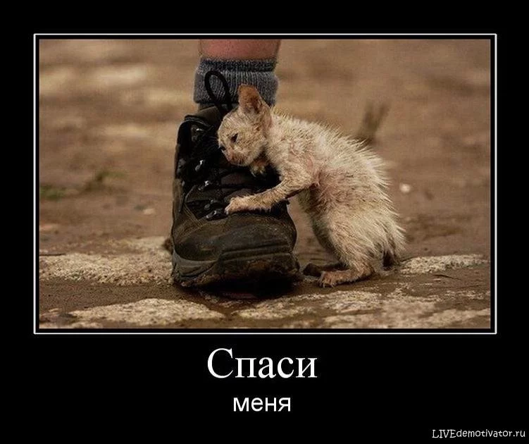 1288885395_1spasi.webp