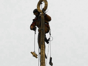 12891323.gif