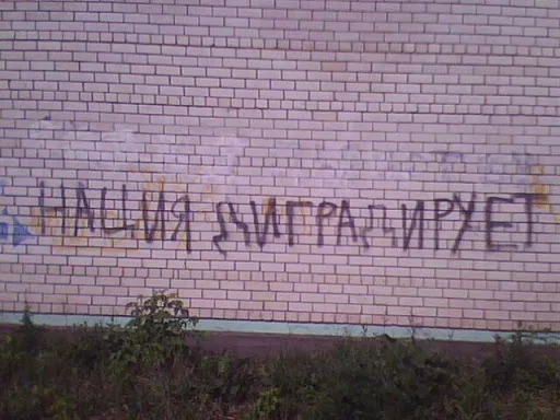 1290989945244.webp