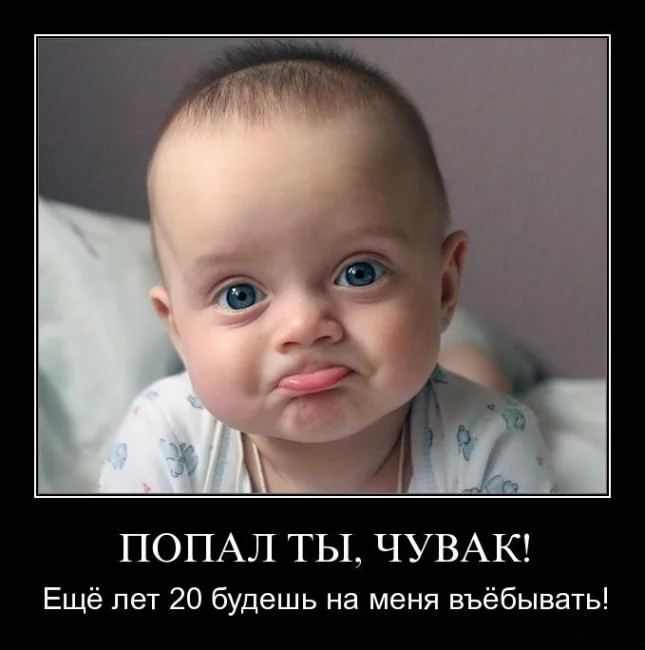 1291187743_70lkqmk6nqma.webp