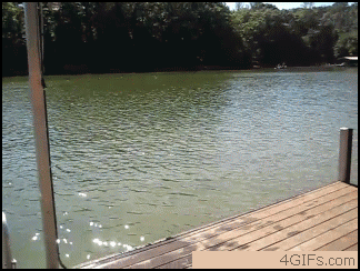 1294532749_cannonball_lake_jump.gif