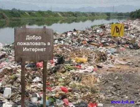 129539.webp