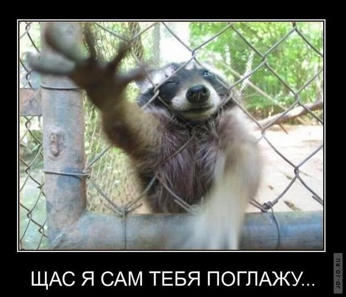 1295583645_demotivatory_35.webp