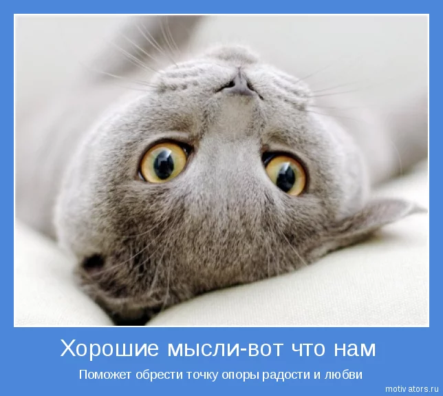 1295995310_motivator-12136.webp